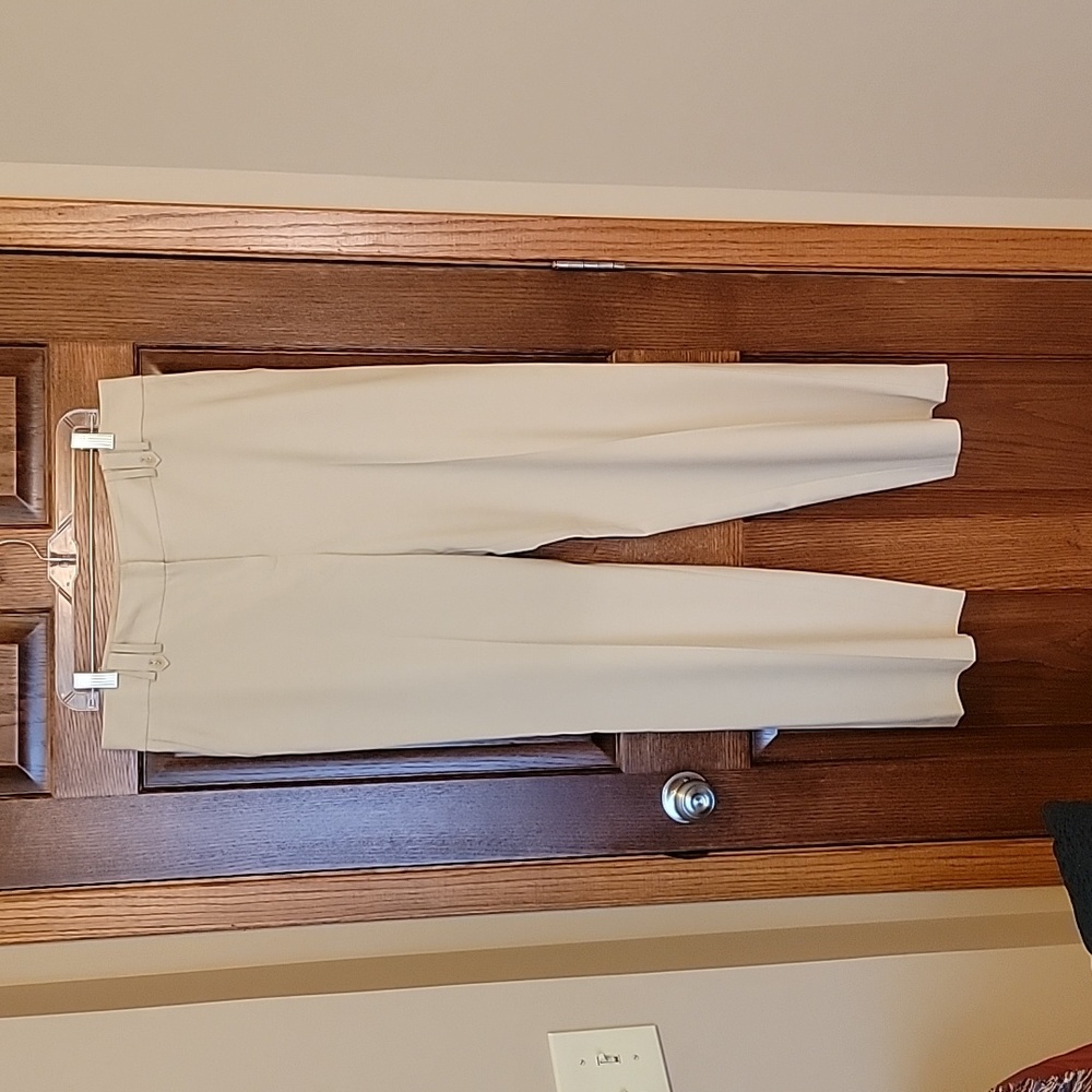 Ann Taylor Loft Tan dress pants